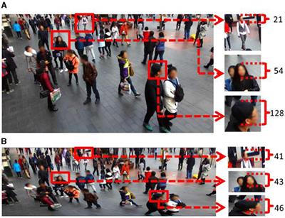 Height reverse perspective transformation for crowd counting